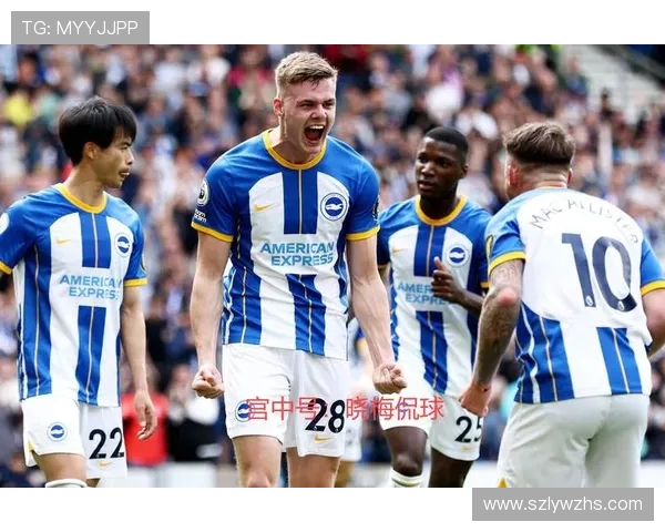 英超各球队营收情况分析及财政健康指数对比