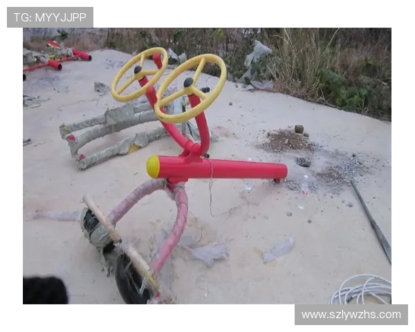 路边健身器材的普及与健康效果