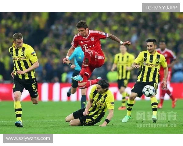 2017年德甲球队关系派系分析及影响探讨