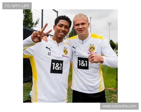 德甲球队哪支表现最好？综合实力评估报告