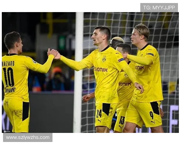 德甲联赛资金最为充裕球队的财务状况解析