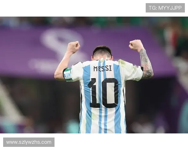 阿根廷2014世界杯征程回顾与荣耀梦想交织的激情岁月决赛憾梦